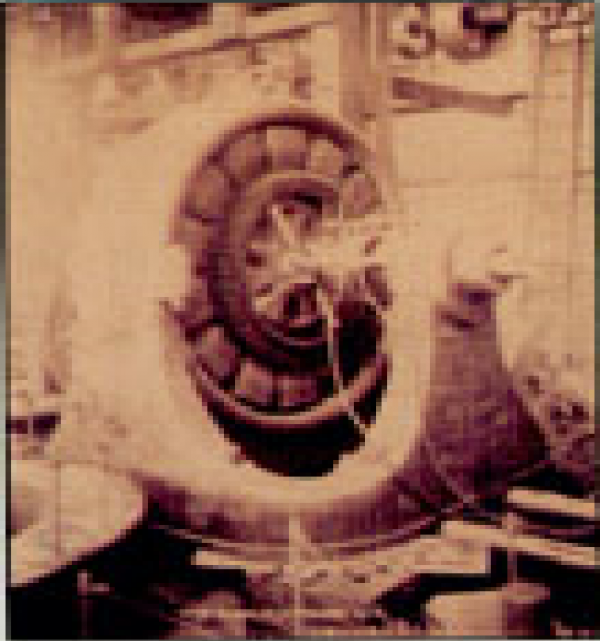 Jeden z dvojfázových generátorov s výkonom 5000 HP inštalovaných v elektrárni Adams. Generátory boli uvedené do skúšobnej prevádzky, spustené 16. augusta 1895 a komerčné využitie 26. apríla.
 