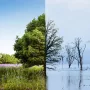 climate-change-concept-collage-1.webp