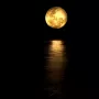 full-moon-4781350-960-720_c.webp